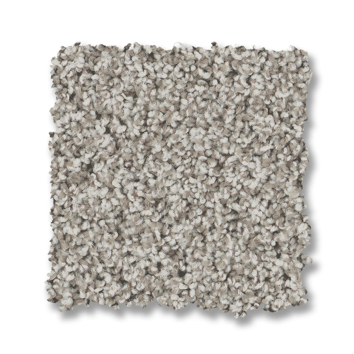 Bella Nova Nylon Platinum 00552 Carpet Textured 2