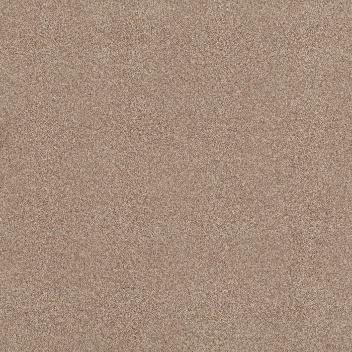 Bella Nova Nylon Potter'S Clay 00623 Carpet Textured 1
