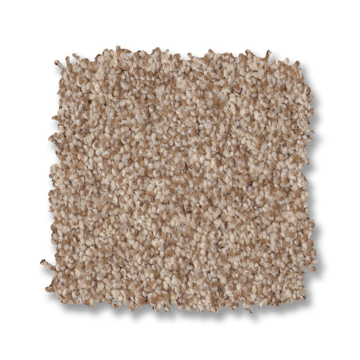 Bella Nova Nylon Potter'S Clay 00623 Carpet Textured 2