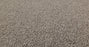 Bella Nova Nylon Cabana 00710 Carpet Textured 3