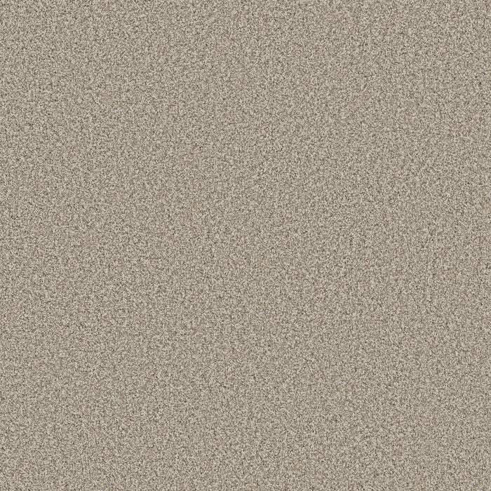 Bella Nova Nylon Cabana 00710 Carpet Textured 1
