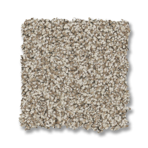 Bella Nova Nylon Cabana 00710 Carpet Textured 2