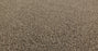 Bella Nova Nylon Cascade 00724 Carpet Textured 3