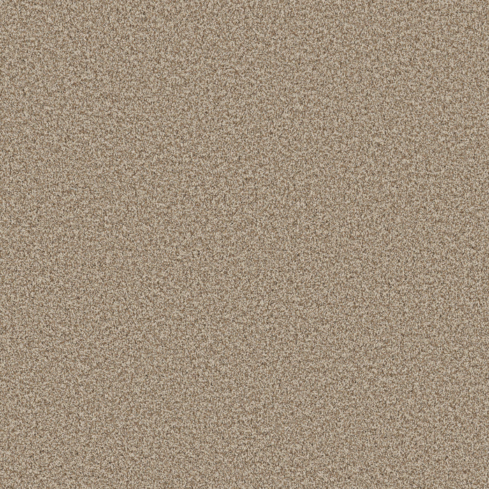 Bella Nova Nylon Cascade 00724 Carpet Textured 1
