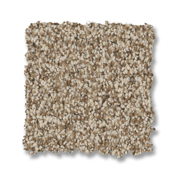 Bella Nova Nylon Cascade 00724 Carpet Textured 2