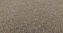 Bella Nova Nylon Pashmina 00754 Carpet Textured 3