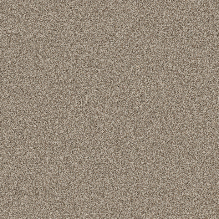 Bella Nova Nylon Pashmina 00754 Carpet Textured 1