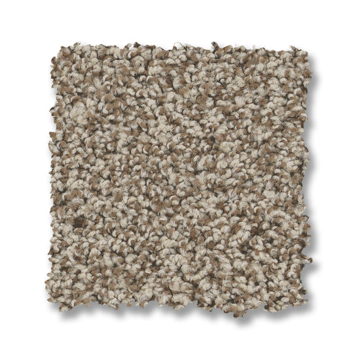 Bella Nova Nylon Pashmina 00754 Carpet Textured 2