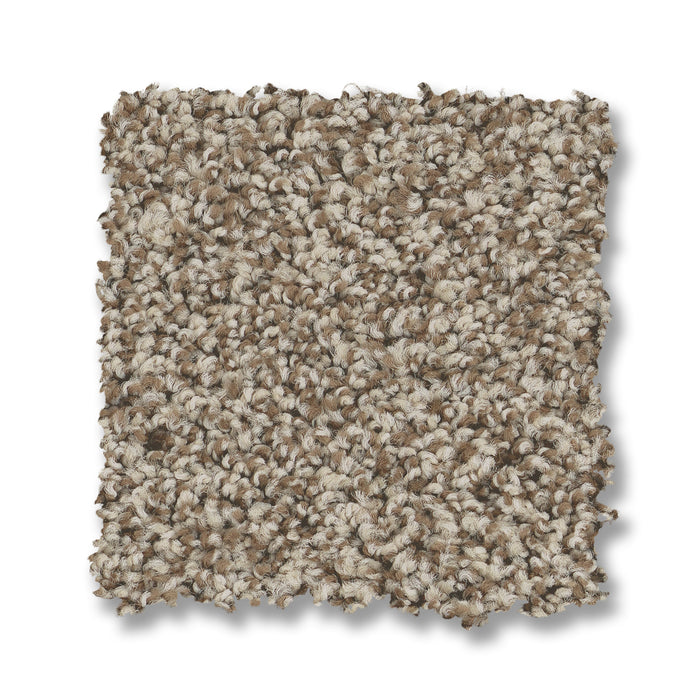 Bella Nova Nylon Pashmina 00754 Carpet Textured 2