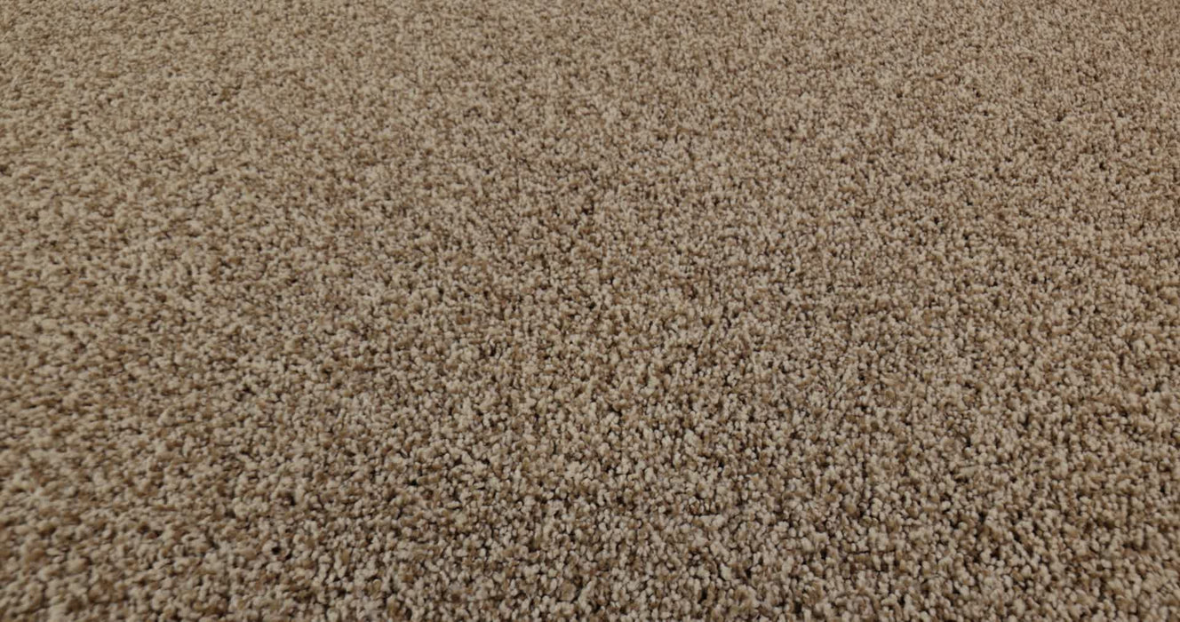 Bella Nova Nylon Nutshell 00764 Carpet Textured 3