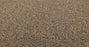 Bella Nova Nylon Nutshell 00764 Carpet Textured 3