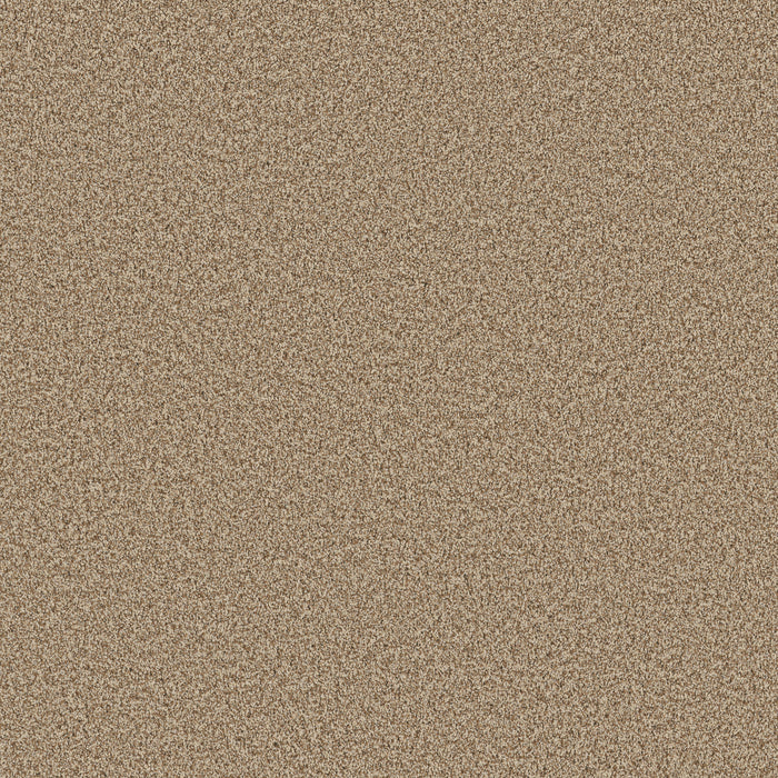 Bella Nova Nylon Nutshell 00764 Carpet Textured 1