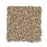 Bella Nova Nylon Nutshell 00764 Carpet Textured 2