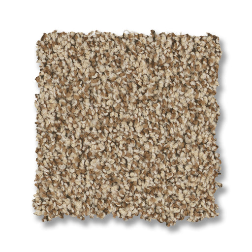 Bella Nova Nylon Nutshell 00764 Carpet Textured 2