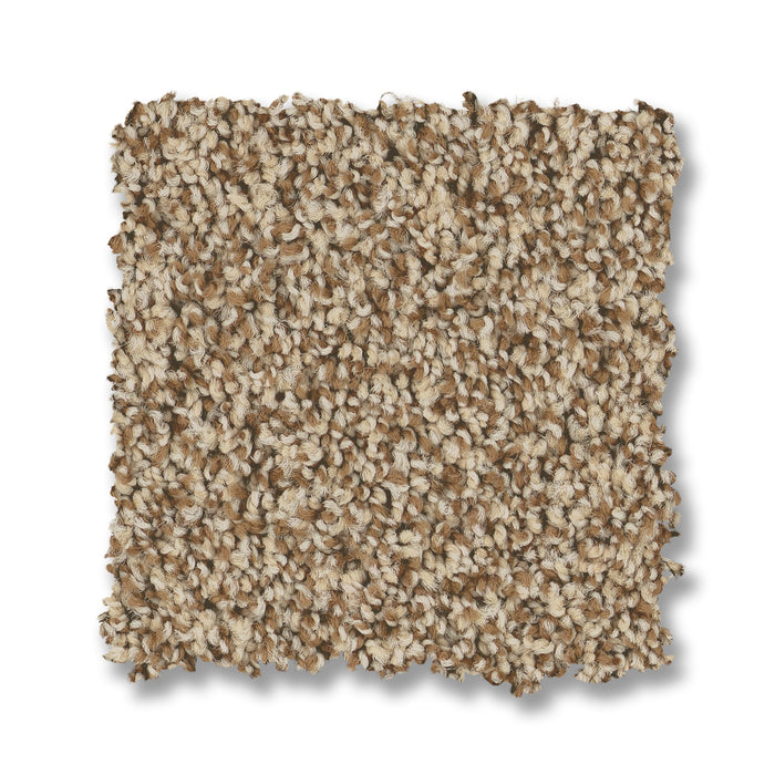Bella Nova Nylon Nutshell 00764 Carpet Textured 2