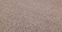 Bella Nova Nylon Flora 00810 Carpet Textured 3