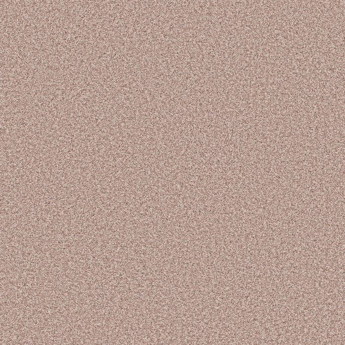 Bella Nova Nylon Flora 00810 Carpet Textured 1