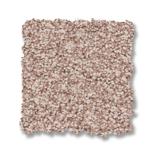 Bella Nova Nylon Flora 00810 Carpet Textured 2