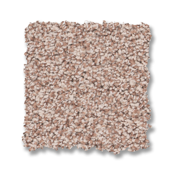 Bella Nova Nylon Flora 00810 Carpet Textured 2