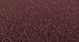 Bella Nova Nylon Tuscany 00870 Carpet Textured 3