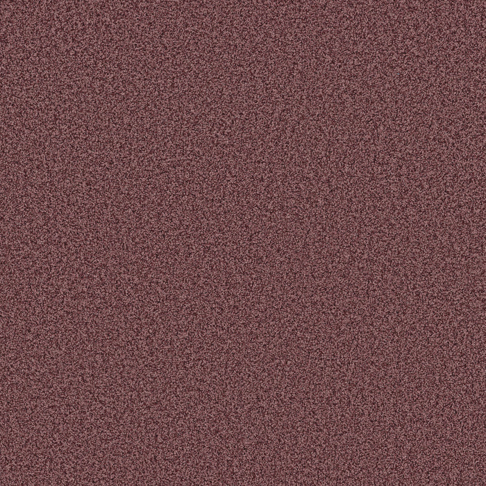 Bella Nova Nylon Tuscany 00870 Carpet Textured 1