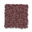 Bella Nova Nylon Tuscany 00870 Carpet Textured 2
