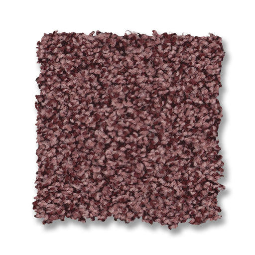 Bella Nova Nylon Tuscany 00870 Carpet Textured 2