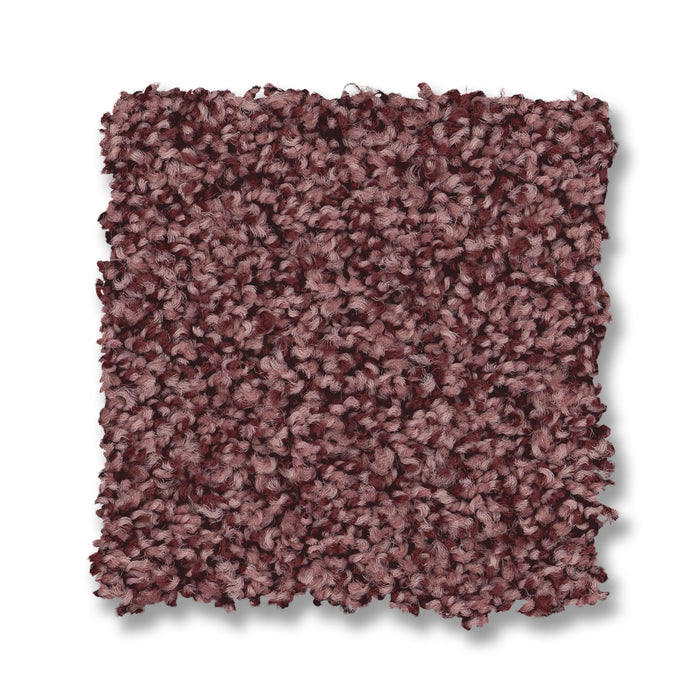 Bella Nova Nylon Tuscany 00870 Carpet Textured 2