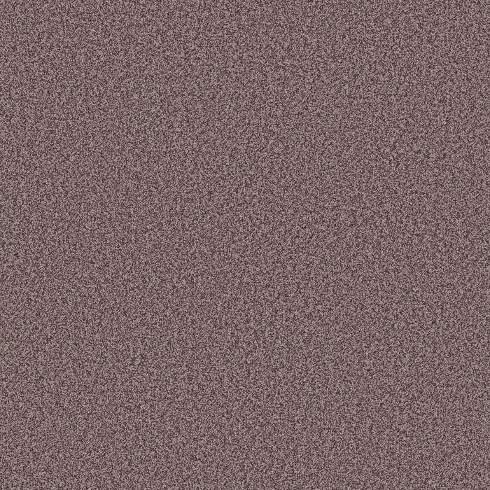 Bella Nova Nylon Reverie 00950 Carpet Textured 1