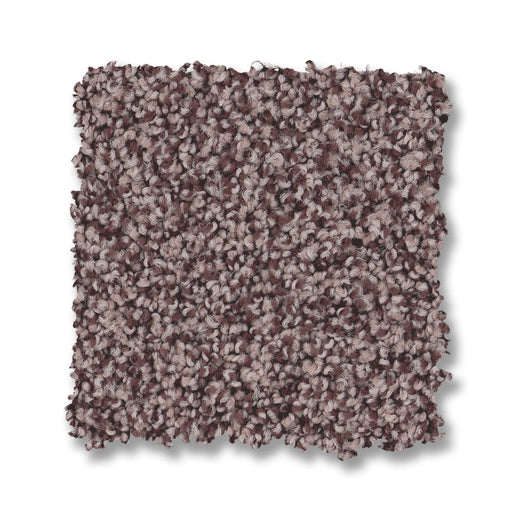 Bella Nova Nylon Reverie 00950 Carpet Textured 2