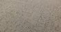 Lumen Nylon Meadow 00300 Carpet Pattern 3