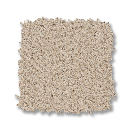 Obscura Nylon Dappled 00103 Carpet Pattern 2