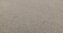 Obscura Nylon Silverglass 00104 Carpet Pattern 3