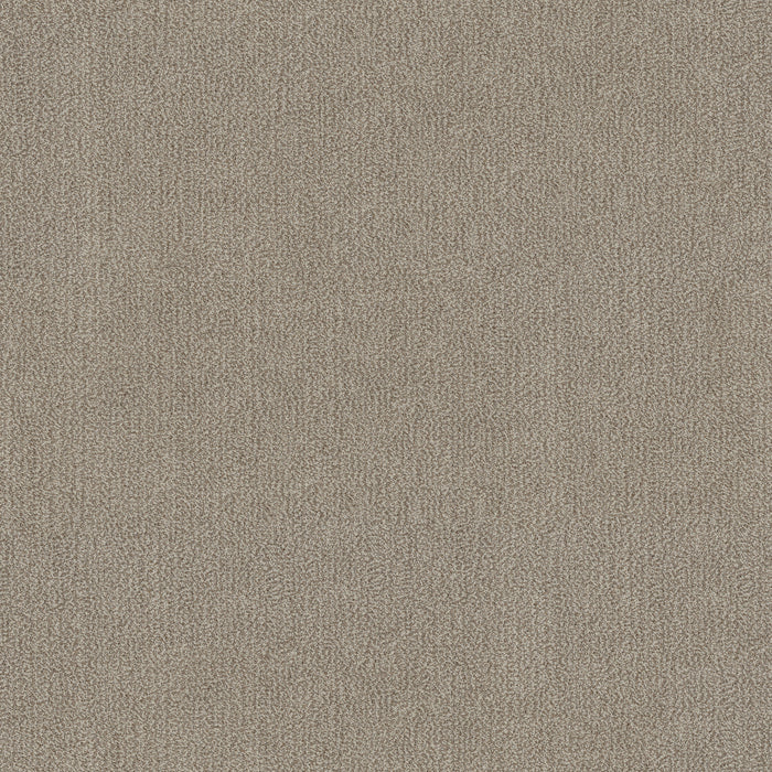 Obscura Nylon Filmgrain 00105 Carpet Pattern 1