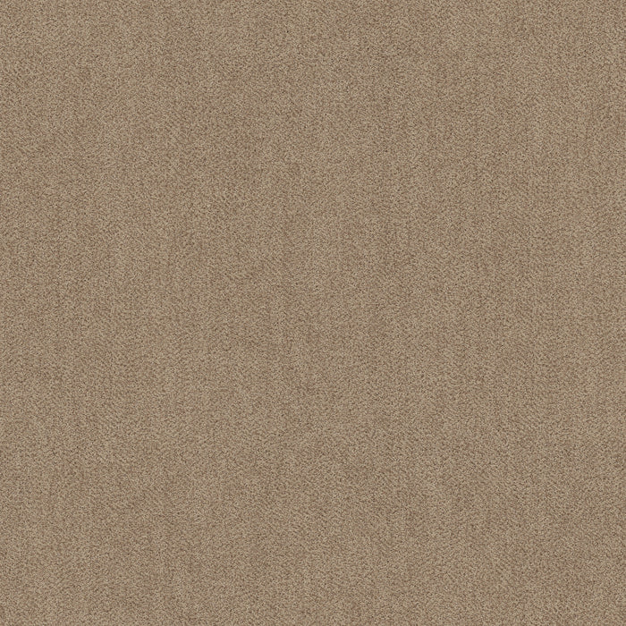 Obscura Nylon Midtone 00700 Carpet Pattern 1