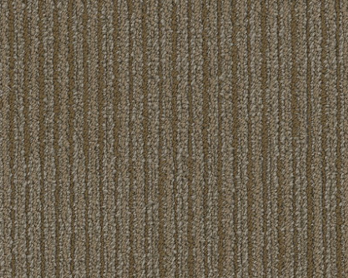 All Business Fact Corporation 00210