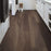 Cathedral Oak 720C Plus Ravine Oak Vinyl 0866V-00798