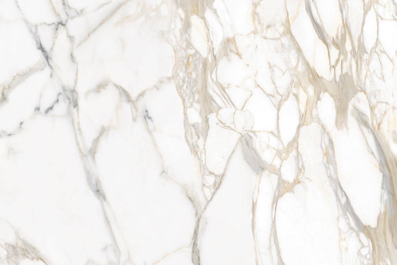 60 x 60 Tiles For Awe-Inspiring Designs