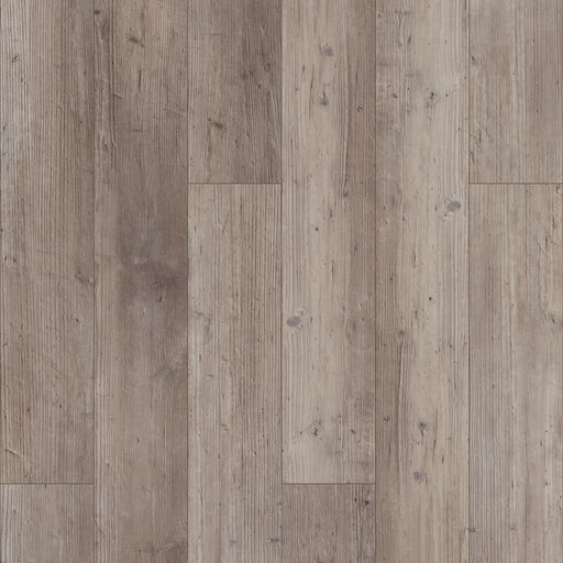 Paragon 5 Inch Plus Distinct Pine 1019V-05039