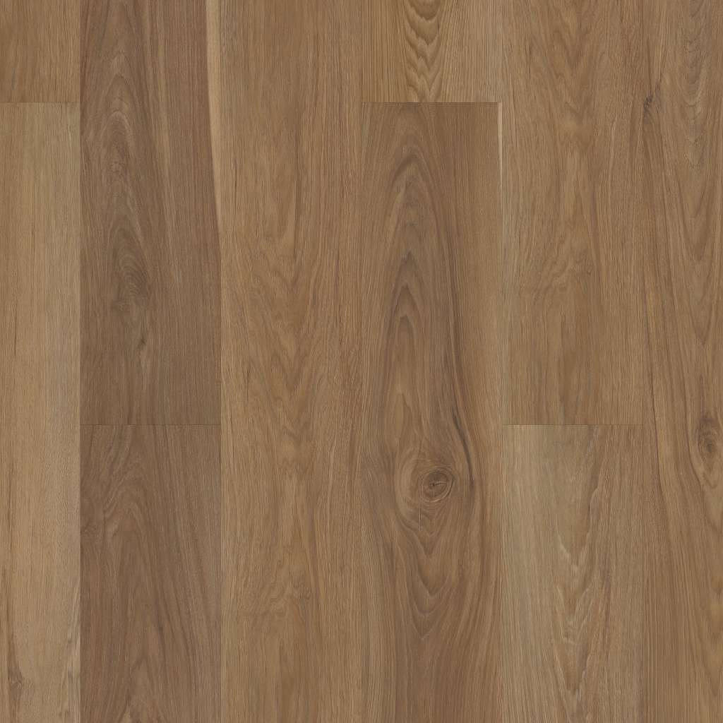 Shaw Pantheon Hd+ Natural Bevel 06013 Olive Tree Plank — Stone