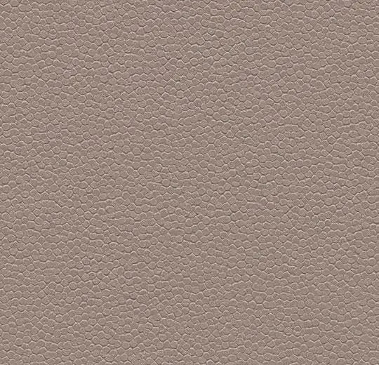 Eternal Step Aqua Sr Taupe 180232-cut