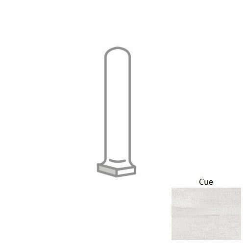 Motion Cue F88MOTICU0106CO