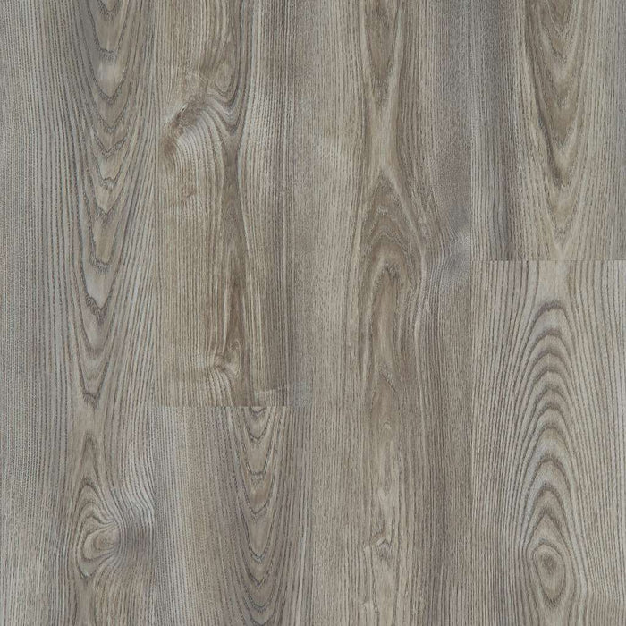 Anvil Plus Grey Chestnut 2032V-07062