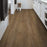 Paragon Xl Hd Plus Hazelnut Oak Vinyl 2033V-07053