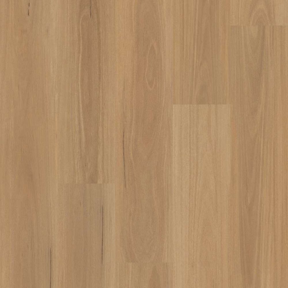 Distinction Plus Eucalyptus 2045V-00694