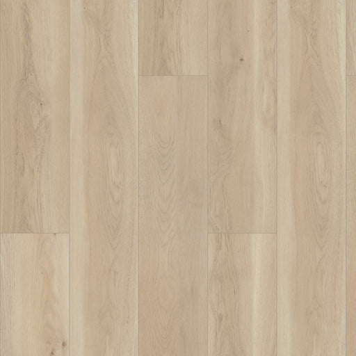 Paragon Hd Natural Bevel Cambridge 3038V-02048