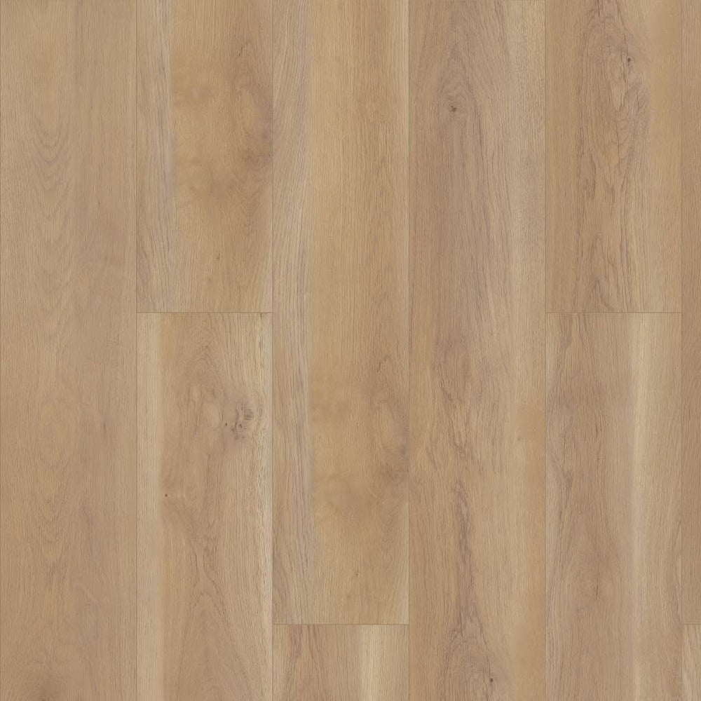 Paragon Hd Natural Bevel Edgemont 3038V-02050