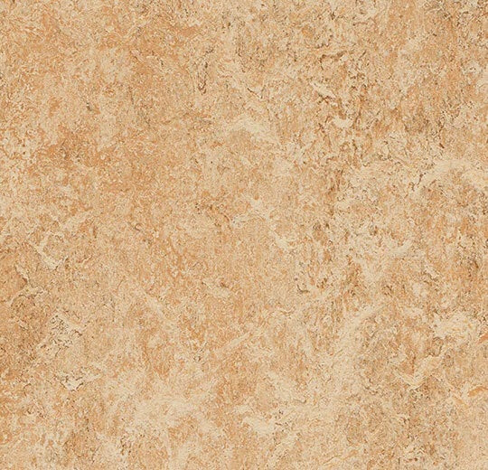 Marmoleum Real Shell 3075-79105-cut