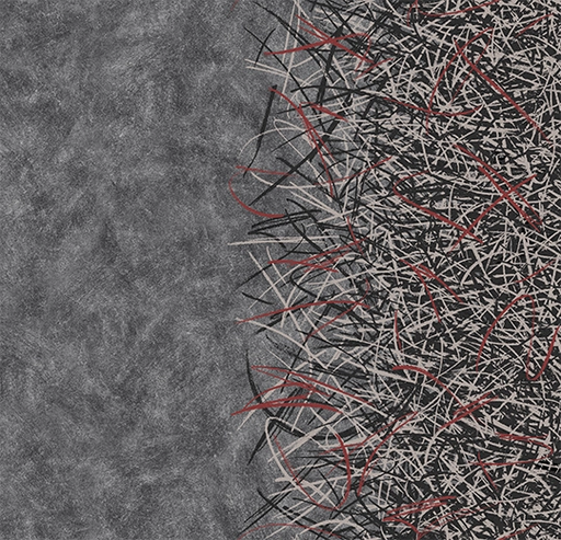 Flotex Created by Starck Vortex Ruby A2 312002-cut