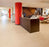 Marmoleum Decibel Rosato Linoleum 312035-cut Topshield Pro